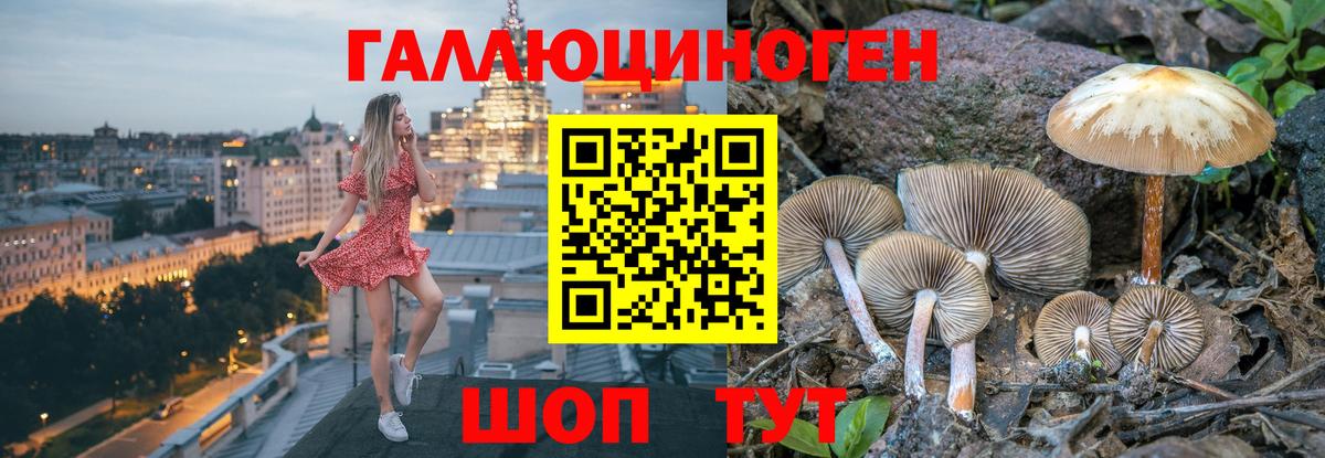 Галлюциногенные грибы прущие грибы Дедовск
