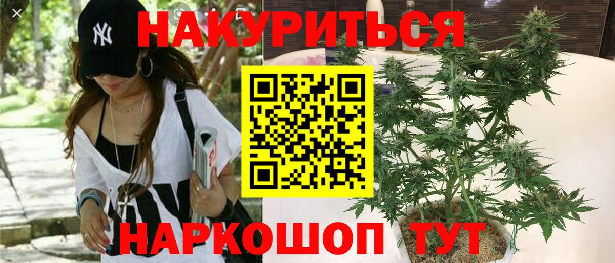 Бошки марихуана семена  Каннабис OG Kush  Шишки марихуана Bruce Banner  Дедовск  Вход с VPN 